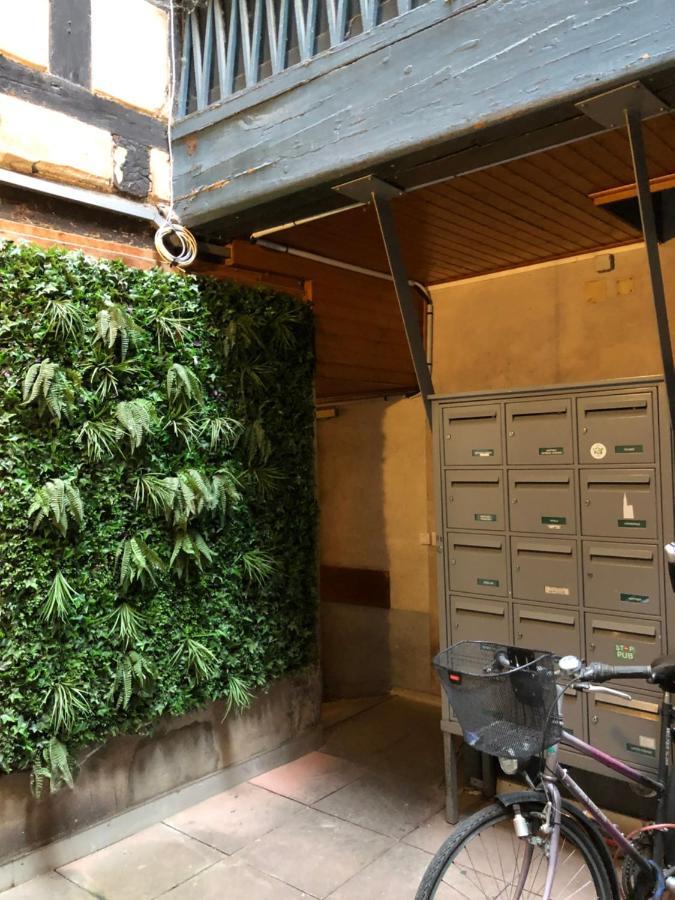 Carre Or Au Pied De La Cathedrale Apartment Strasbourg Ngoại thất bức ảnh